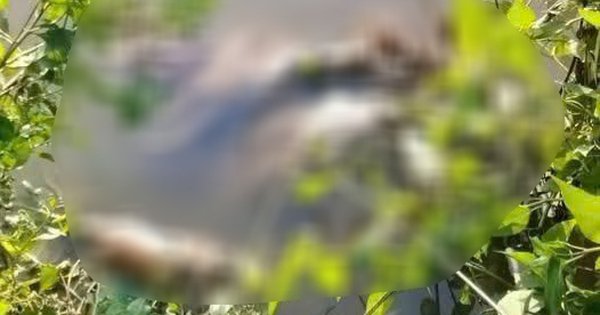 NGHI PHẠM SÁT HẠI NỮ SINH CẤP 2 Ở CÀ MAU ĐANG BỊ BẮT KHẨN CẤP, AI ĐÃ ĐỒNG LOÀN?