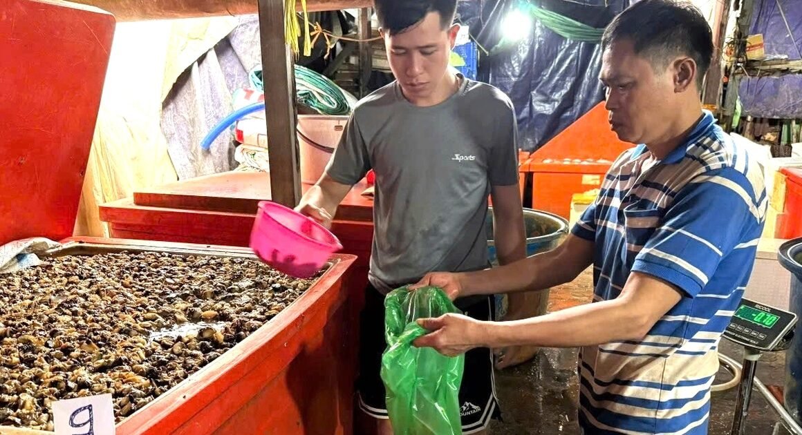 THỦY TINH LỎNG TRONG XÂY DỰNG CÓ THẬT SỰ AN TOÀN KHI DÙNG ĐỂ TẨY TRẮNG THỰC PHẨM?