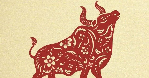 BẠN CÓ BIẾT NỘI DUNG CỦA MÌNH CÓ NẰM TRONG ĐỐI TƯỢNG ĐƯỢC CHĂM SÓC HAY KHÔNG?