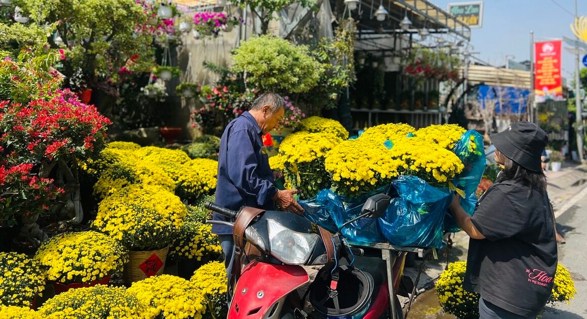 BÁCH ĐẠO NGƯỜI SÀI GÒN ‘NỔI ĐÙNG’ MUA CÚC MÂM XÒI, GIẢI CỨU NÔNG DÂN MIỀN TÂY TRONG 10 NGÀY Liên tiếp!