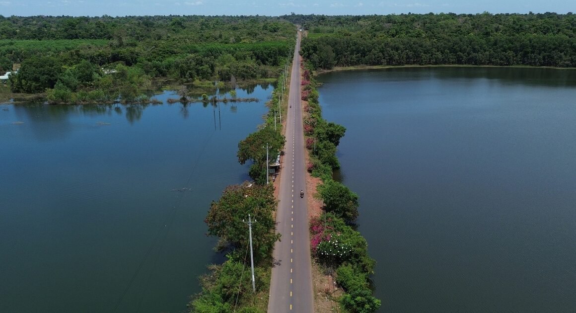 DƯỠNG ĐƯỜNG KẾT NỐI CẦU MÃ ĐÀ VÀ VÀNH ĐAI 4 SẼ XÂY CẦU CẠN ĐỂ BẢO VỆ RỪNG VÀ ĐỘNG VẬT HOANG DÃ!