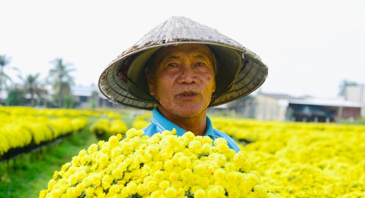 VÌ SAO ÔNG TIẾN KHÔNG CHO BÁN HOA CÚC MÂM XÔI VỚI GIÁ 20.000 ĐỒNG?