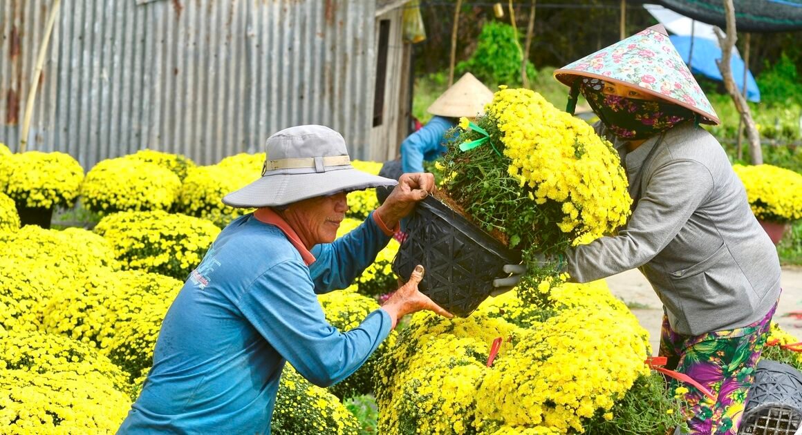 tại sao ông huỳnh văn tiến chỉ sau một ngày đã bán sạch hơn 4000 chậu hoa tết gấp đôi giá ban đầu?