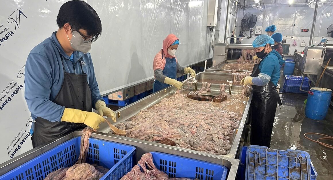 KHẨN CẤP: HÀ NỘI PHÁT HIỆN HƠN 60 TẤN LÒNG LỢN Không Rõ Nguồn Gốc, ĐANG CHỜ XÁC MINH!