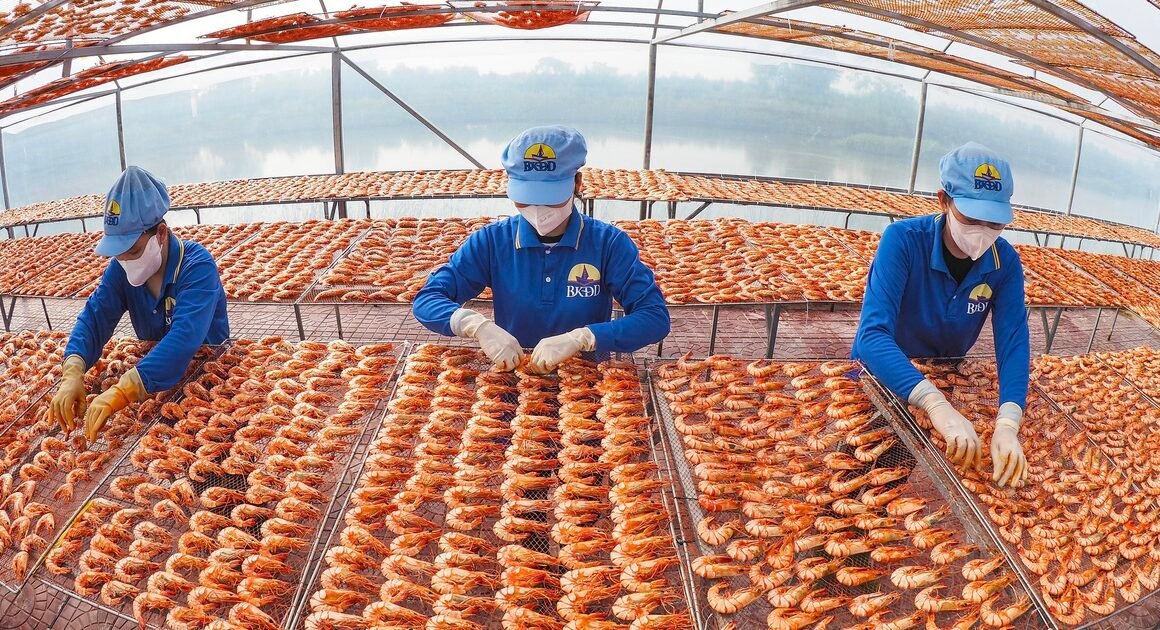 TÔM SÚ KHÔ NGUYÊN VỎ ĐẠT ĐỈNH GIÁ TRONG MÙA TẾT NGUYÊN ĐÁN BÍNH NGỌ 2026, MẶC DÙ GIÁ CAO VẪN ĐƯỢC KHÁCH HÀNG SĂN LÙNG!