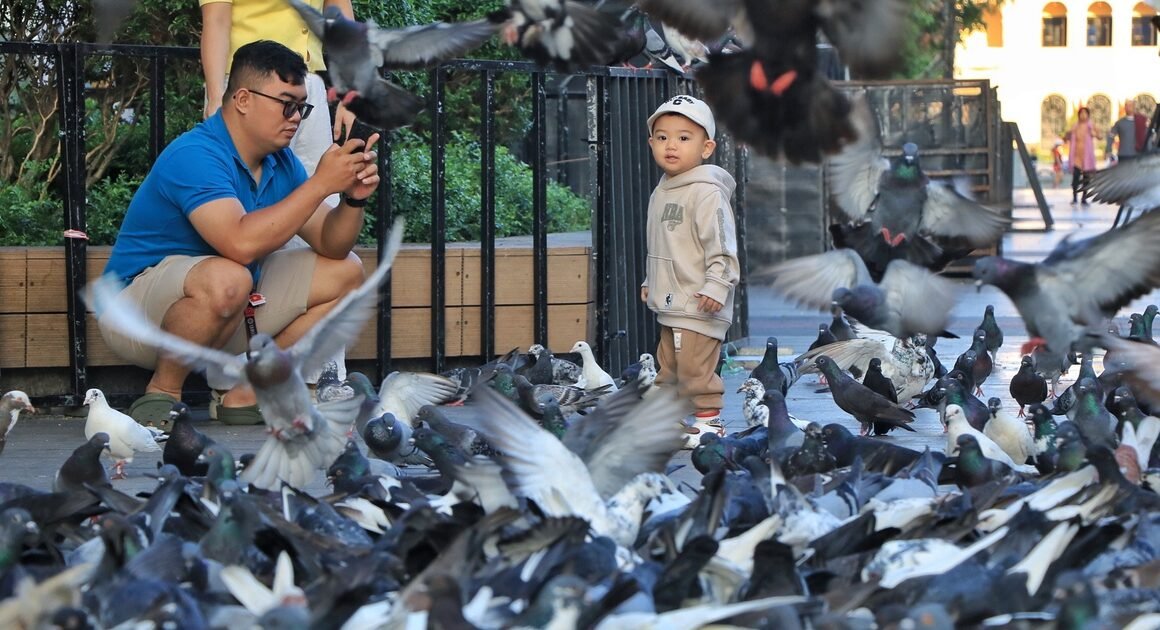 NGÀY ĐẦU NĂM MỚI 2026, ĐƯỜNG PHỐ TRUNG TÂM TP.HCM NHƯ THẾ NÀO TRONG KỲ NGHỈ TẾT DƯƠNG LỊCH 4 NGÀY?