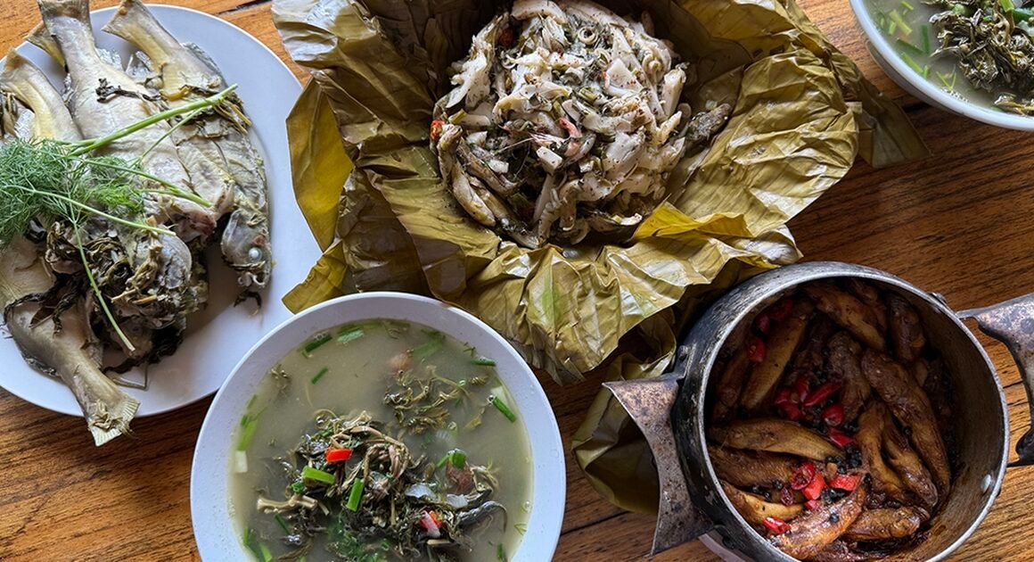 KHÁM PHÁ BÍ ẨN NHỮNG CON QUÁI NGƯ ĐƯỢC MÊ MẨN TRÊN SÔNG ĐÀ!