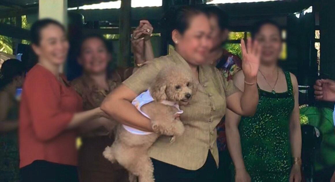 _bạn đã bao giờ gặp phải những vị khách “không mời mà tới” khiến lễ tết trở nên khó xử chưa?_