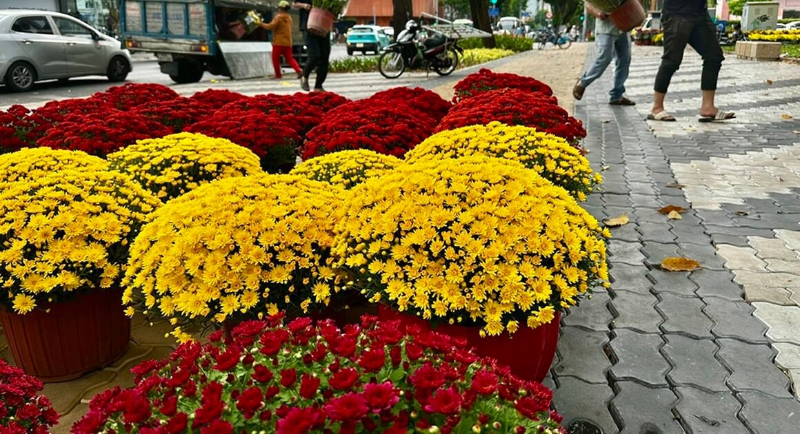 KHÁM PHÁ RỘN RỊP SẮC MÀU CHỢ HOA LỚN NHẤT TP.HCM ĐANG ĐÓN CHÀO XUÂN TRẨN SỚM NHẤT!