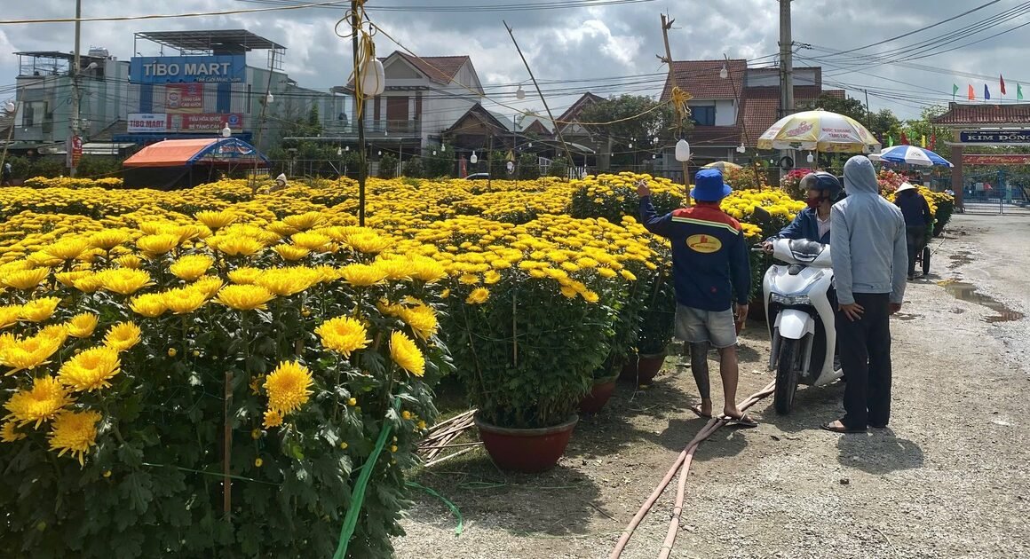 KHÔNG AI NGỜ ĐƯỢC TƯƠNG TRANH KHÁC BIỆT Ở CHỢ HOA NGÀY 28 TẾT, NƠI VẪN HỘI SỐNG ĐẦY SÓNG ĐẬP, NƠI LẠI LẶNG LẼ ĐẾN KINH NGẠC.