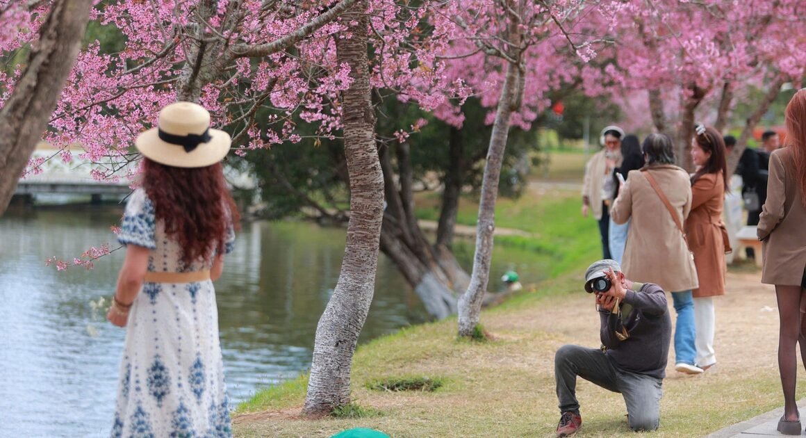 bạn đã biết cách kiếm tiền triệu mỗi ngày chỉ với một chiếc điện thoại qua dịch vụ chụp ảnh nhanh chưa?