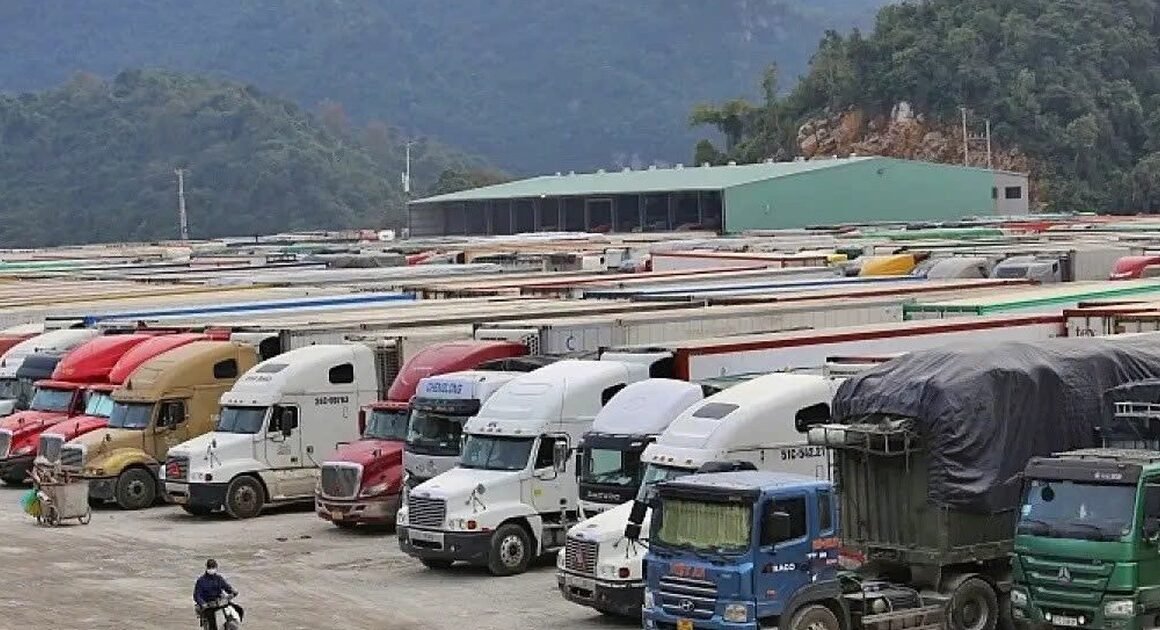 DƯƠNG NHIỆM VỤ QUAN TRỌNG VỀ AN TOÀN THỰC PHẨM BỊ HOÃN, ĐIỀU CHỈNH GÂY NGHI VẨN!