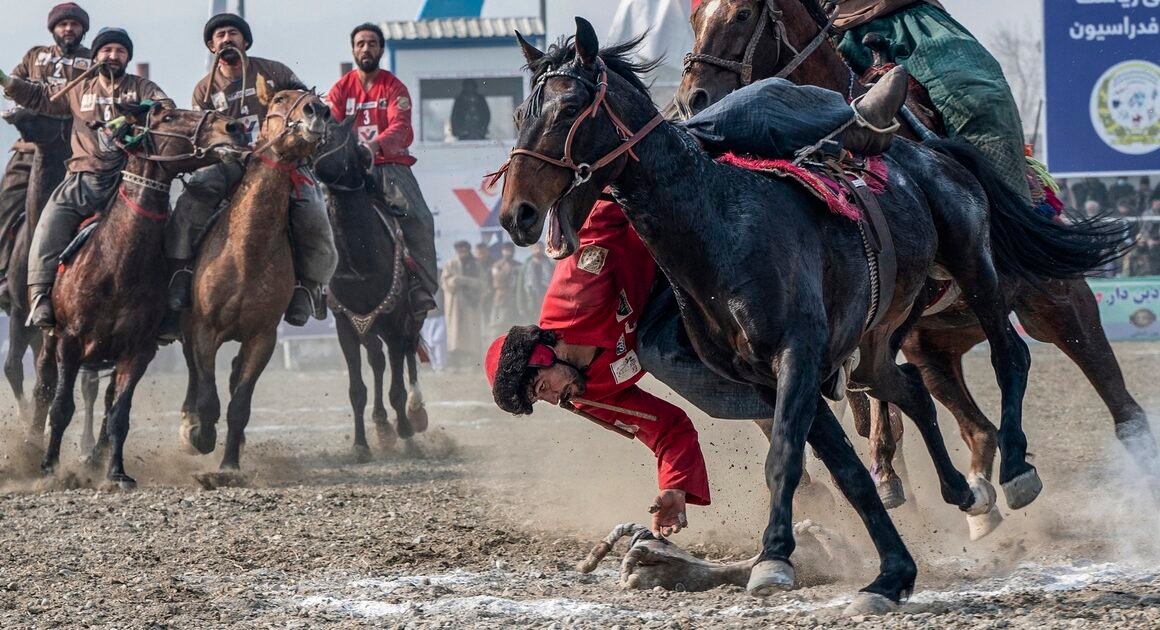 KHÁM PHÁ NHỮNG MÔN THỂ THAO NGỰA ĐỘC ĐÁO KHÔNG NGHỀ NÀO NGHÉT ĐUỔI!