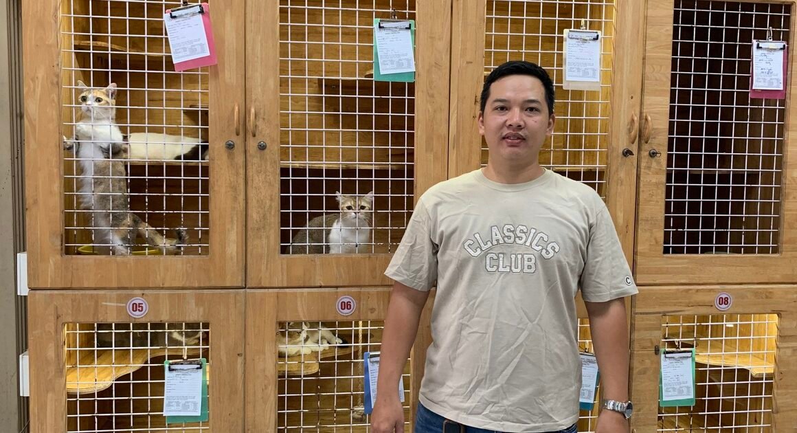 KHÁI NIỆM THÚ CƯNG MÈO KIỂNG ĐANG TẠO SÓNG, BẠN ĐÃ BIẾT ĐẾN MÔ HÌNH DỊCH VỤ TRỌN GÓI ĐẦU TIÊN TẠI CẦN THƠ CHƯA?