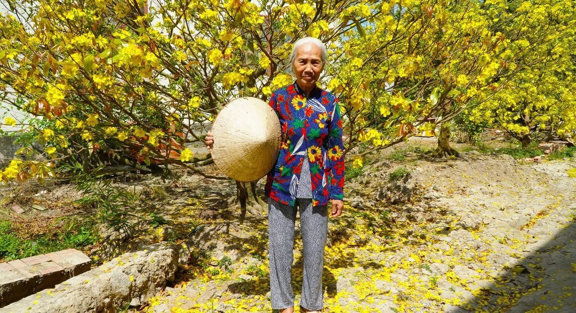 BÊN CÁI CÂY MAI ĐƠN SƠ, MẸ KHÔNG CHƯA TỎ LÒNG HI SINH CỦA MỘT ĐỜI VÔ NGHỊCH