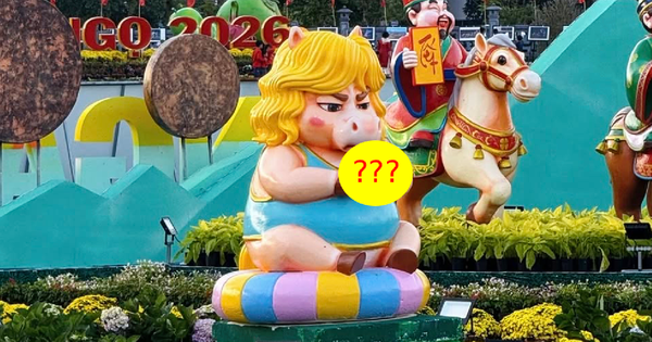 KHÁM PHÁ CHI TIẾT BẤT NGỜ VỀ DÀN LINH VẬT NGỰA TẠI QUY NHƠN GAY CẮT MẠNG NĂM NAY!