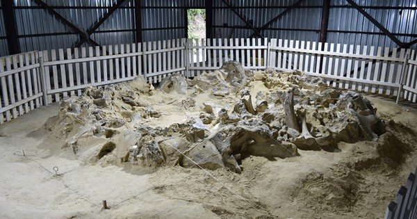 KHÁM PHÁ CIÊU ĐIỂM CỔ XƯA TRÊN THẾ GIỚI HƠN 18.000 NĂM, TÒA NHÀ XƯƠNG HỒN NHIÊN ĐANG CHỜ ĐỢI BẠN KHÁM PHÁ!