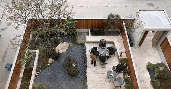 NGÔI NHÀ KIẾN TRÚC ĐỘC ĐÁO KHIẾN MỌI NGƯỜI PHẢI NGOÁI NHÌN!