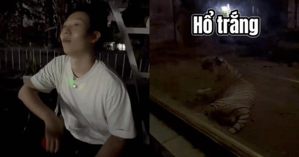 KHÁM PHÁ HÀNH TRÌNH ĐÊM KỲ LẠ CỦA CÁC LOẠI ĐỘNG VẬT TẠI VƯỜN THÚ LÂU ĐỜI NHẤT VIỆT NAM!