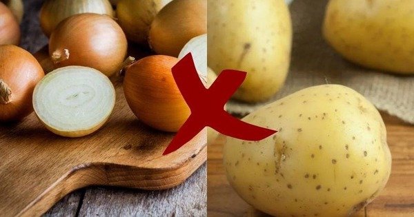 KHÔNG NÊN BẢO QUẢN HÀNH TÂY VÀ KHOAI TÂY CÙNG NHAU, BẠN ĐÃ BIẾT TẠI SAO CHƯA?