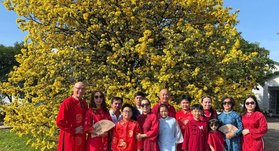 HOA NỔI BẬT GIÁ TRỊ HƠN 70 NĂM – CÂY MAI ĐÀO TƯƠI TỐI Ở TÂN PHÚ THU HÚT HÀNG NGÀN DU KHÁCH TRONG MÙA TẾT