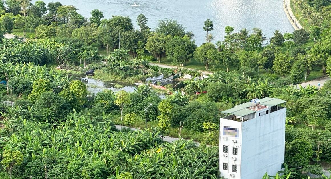 AI ĐANG GIÀNH CỦA KHÔNG CỦA RIÊNG CỦA NGƯỜI NGOẠI QUỐC VÀ VỢ CHỒNG Ở VIỆT NAM?