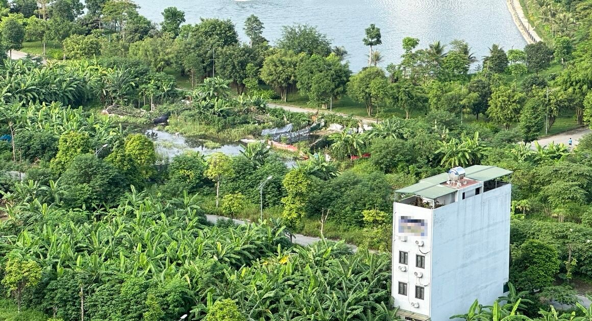 AI ĐẾN GỜ CHIA THỪA KẾ VỚI 5 NGƯỜI CON, MỘT MẢNH ĐẤT HƠN 5.000 M2 TRỞ THÀNH CUỘC TRANH CHẤP NGHIÊM TRỌNG!