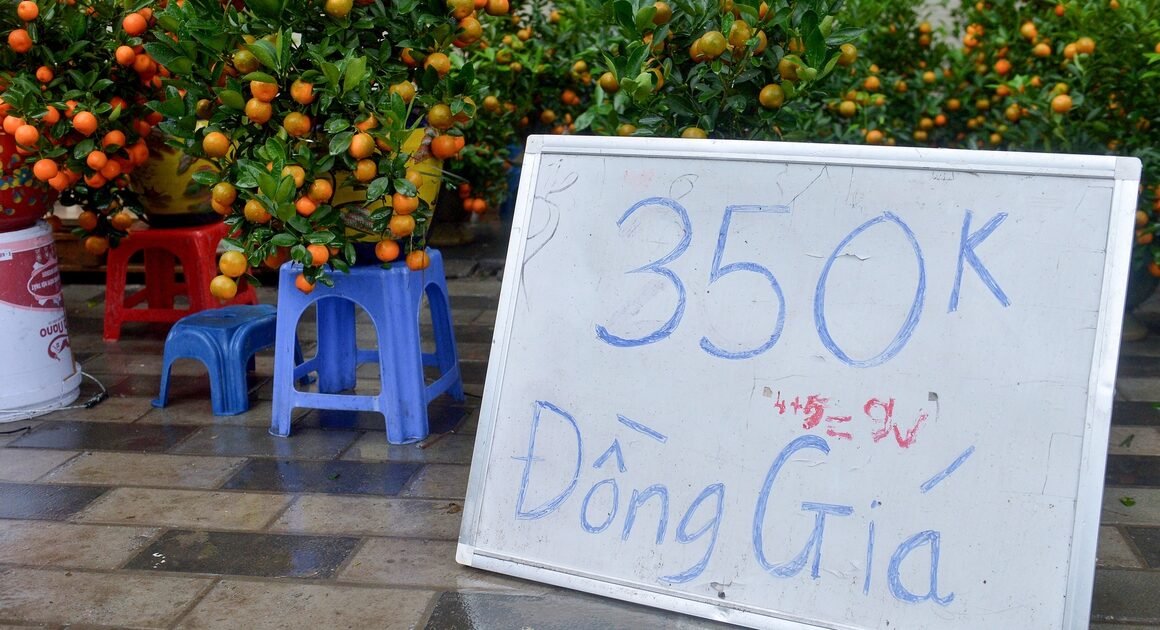 CHỢ ĐẦU NĂM ĐÃ XẢ HÀNG, TIỂU THƯƠNG CẮT LỖ CHỜ VỀ QUÊ ĐÓN TẾT SỚM!