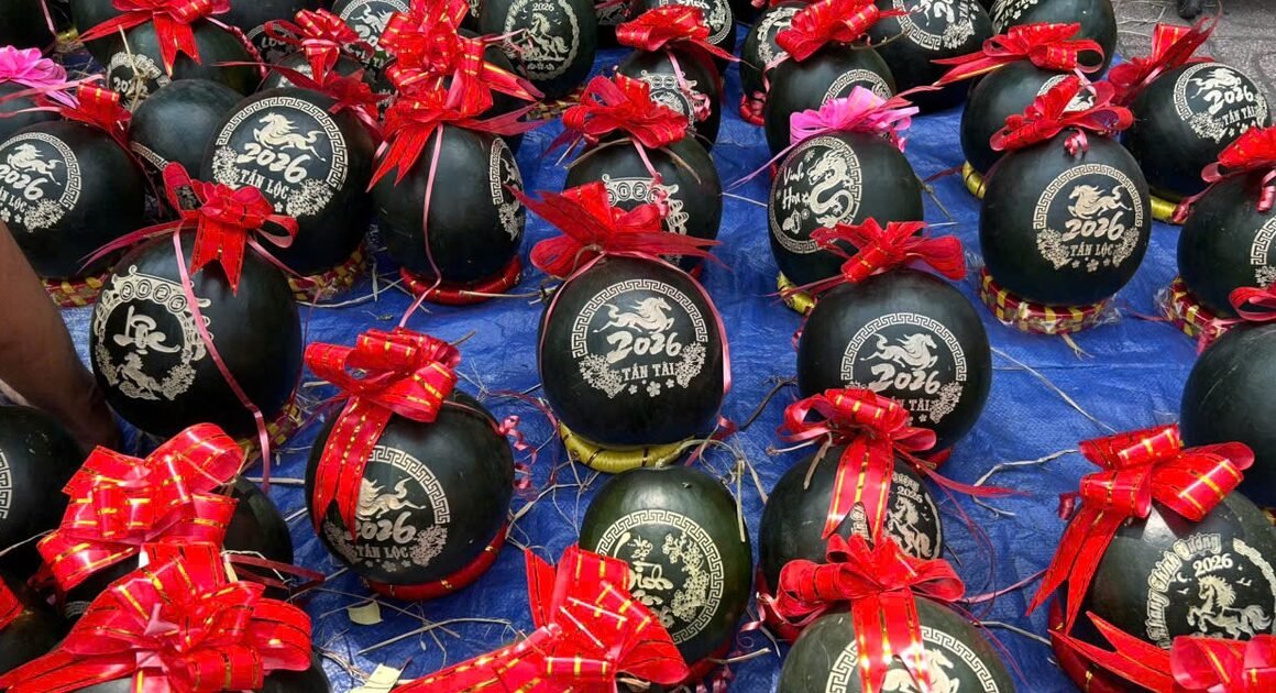 DƯA HẤU GIÁ TĂNG ĐỘC BIỆT, ĐẨY NỔI MỐI LO NGUỒN CUNG TRONG NGÀY CUỐI NĂM!