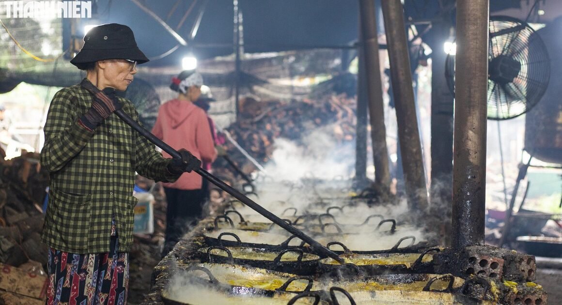 SÂN CHƠI GỪNG NON NGẬP TRÀN KHƠI HƯƠNG TẾT, ĐỂ MỖI MẺ GỪNG ĐƯỢC HOÀN HẢO ĐẾN MỖI GIAO THỨC!