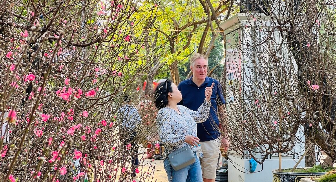 KHÁM PHÁ GIAN HÀNG HOA ĐÀO “SHIP TỪ VƯỜN” MIỀN BẮC ĐƯỢC TRƯNG BÁ, GIÁ ĐẾN 20 TRIỆU ĐỒNG ĐANG GÂY SỐT CẬN TẾT!