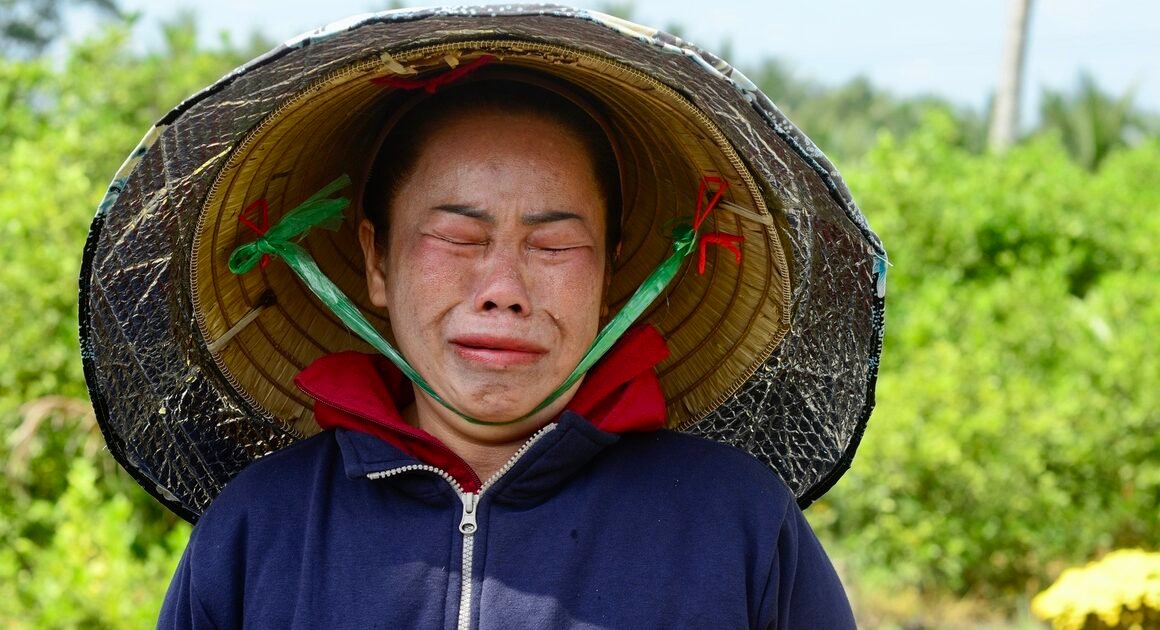 NỖ LỰC VƯỢT BÁI DỊCH, GIA ĐÌNH BÀ NGỌC SANG KIÊN TRÌ BÁM CHUYỆN TRỒNG CÚC MÂM XÔI GIỮE VỰC ĐẤT