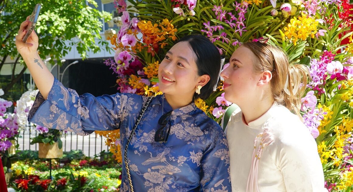 KHÁM PHÁ KHÔNG GIAN TẾT NGUYÊN ĐÁN NGAY TRÊN ĐƯỜNG HOA NGUYỄN HUỆ VÀI MOMENT CUỐI NĂM 2026!