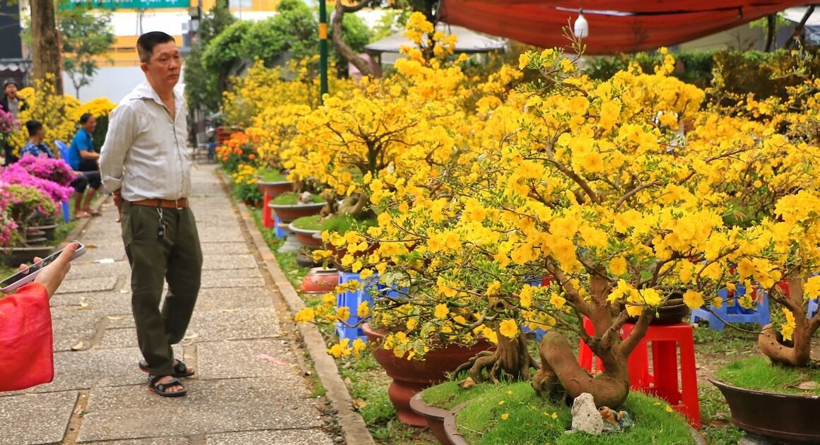 Bí quyết bán hoa Tết thành công ở TP.HCM khiến nhiều người bán “thắng đậm” không ngờ!