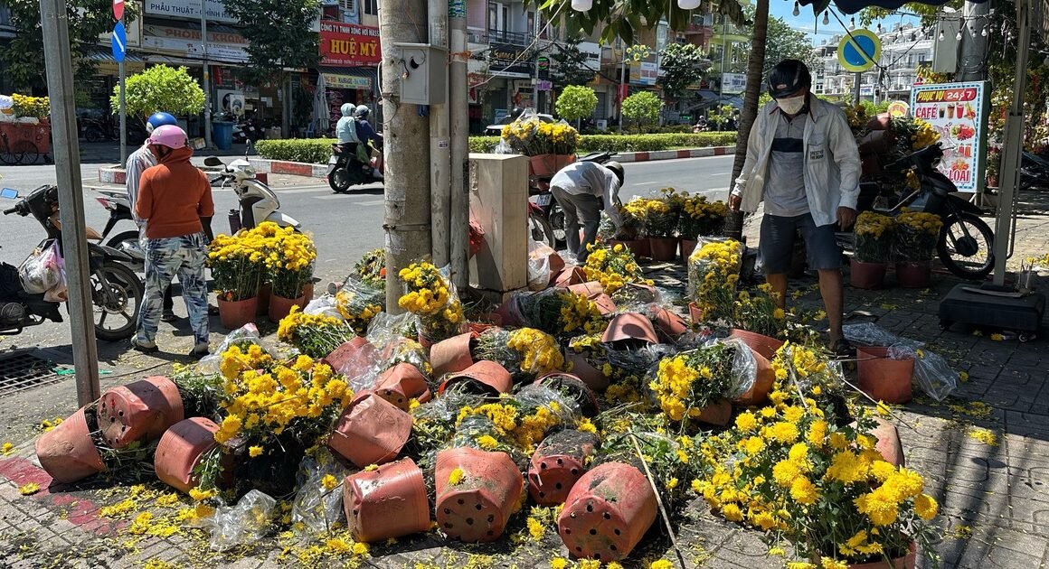 Tại sao nhiều người lại chọn mua hoa Tết đúng ngày GIAO THỪA để mang lại may niềm, bất chấp mọi lựa chọn sớm?