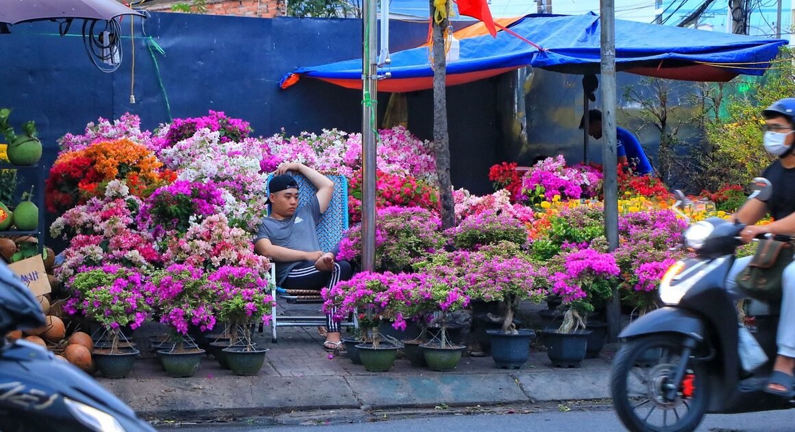 BÁO CẢNH: HOA TẾT TP.HCM HỒI HỘP CHỜ NGÀY GIAO THỪA—AI CŨNG MUỐN “THUẬN MUA VỪA BÁN” TRONG MÙA XUÂN SẮC ĐẸP