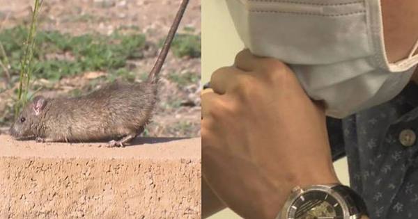 CHỈ TRONG 8 NGÀY, MẠNH ĐẾN ĐÁNG NGẠC NHIÊN, CĂN BỆNH ĐẾN GẬP GÂY TỬ VONG NHƯ VẬY!