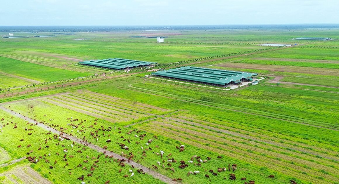 KHÁM PHÁ MỐI LIÊN KẾT SÂU SẮC GIỮA VIỆT NAM, CAMPUCHIA VÀ LAO TRONG GIAO THƯƠNG VÀ ĐẦU TƯ NGÀY THẬT CHẶT CHẼ