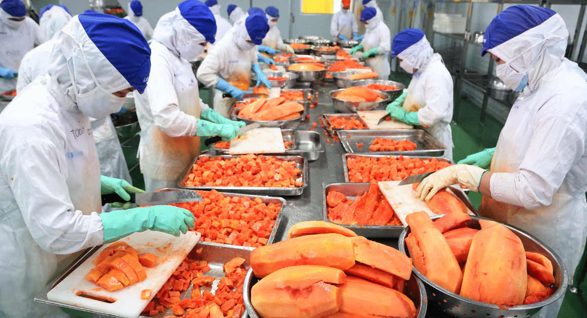 RAU QUẢ VIỆT NAM ĐƯỢC DỰ ĐOÁN SẼ PHÁ VỠ KỶ LỤC MỚI VỚI 10 TỈ USD TRONG NĂM NAY!