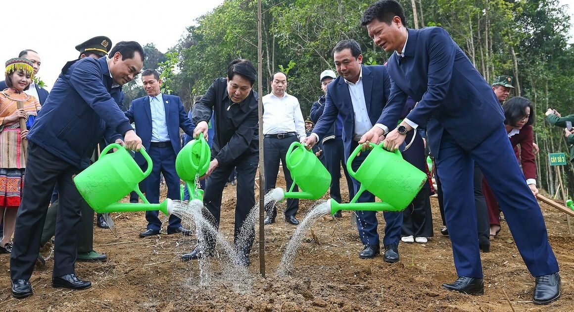 KHÁM PHÁ NGÀY ĐẶC BIỆT: CHỦ TỊCH NƯỚC LƯƠNG CƯỜNG PHÁT ĐỘNG TẾT TRỒNG CÂY XUÂN BÍNH NGỌ NĂM 2026