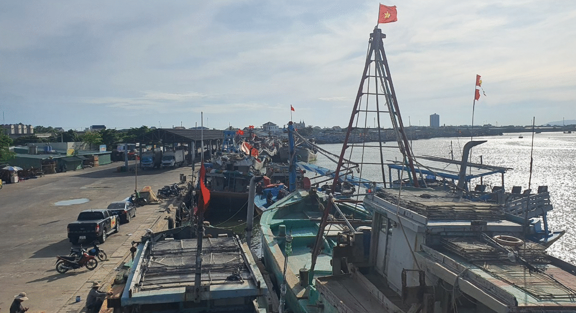 SẮP ĐẾN, ĐOÀN THANH TRA EC SẼ KIỂM TRA VIỆT NAM VỀ THẺ VÀNG IUU, CÓ THỂ ĐÁNG CHÚ Ý ĐIỀU GÌ?