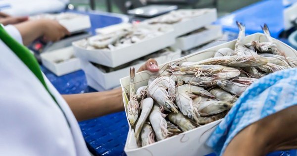 KHÁM PHÁ NGƯỜI DẪN ĐẦU XUẤT KHẨU THỦY SẢN VIỆT NAM THÁNG 01/2026, TĂNG KỶ LỤC NHỜ THỊ TRƯỜNG CHÂU Á!