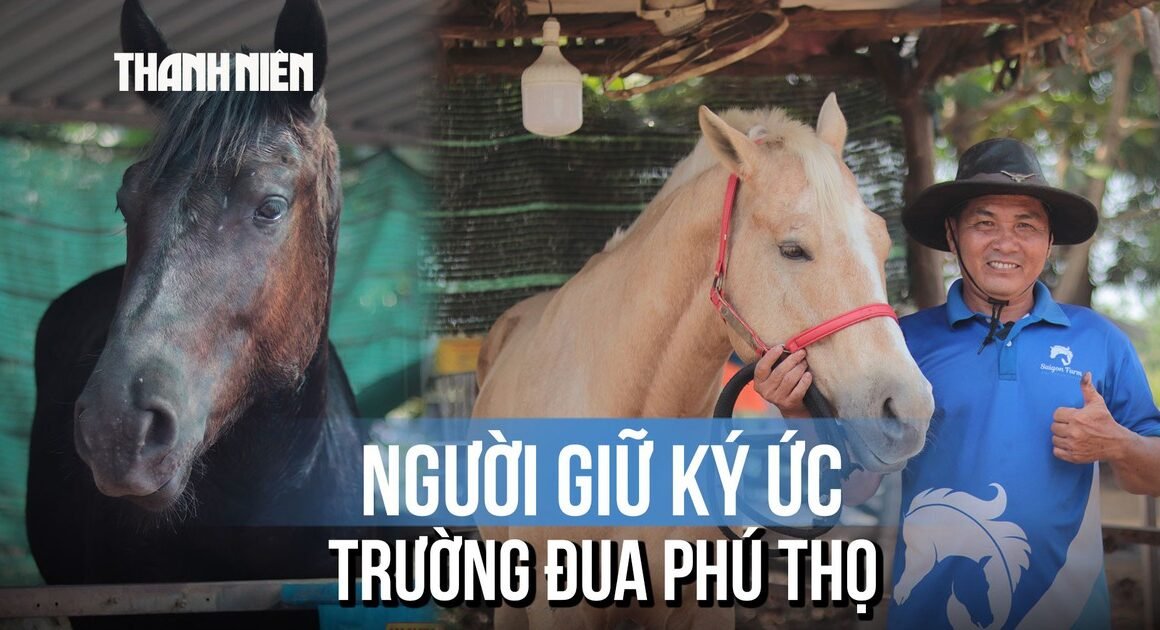 DƯỚI NHỮNG BỤI CHIÊU ĐIỆU CỦA TUỔI TRẺ, ÔNG LÊ TIẾN TÔNG VẪN CHUẨN BỊ CHO CHUYẾN ĐI ĐẾN VỚI KÝ ỨC NGỰA VÀ DỊCH VỤ ĐUA KHÔNG NGỪNG KHÉP LẠI