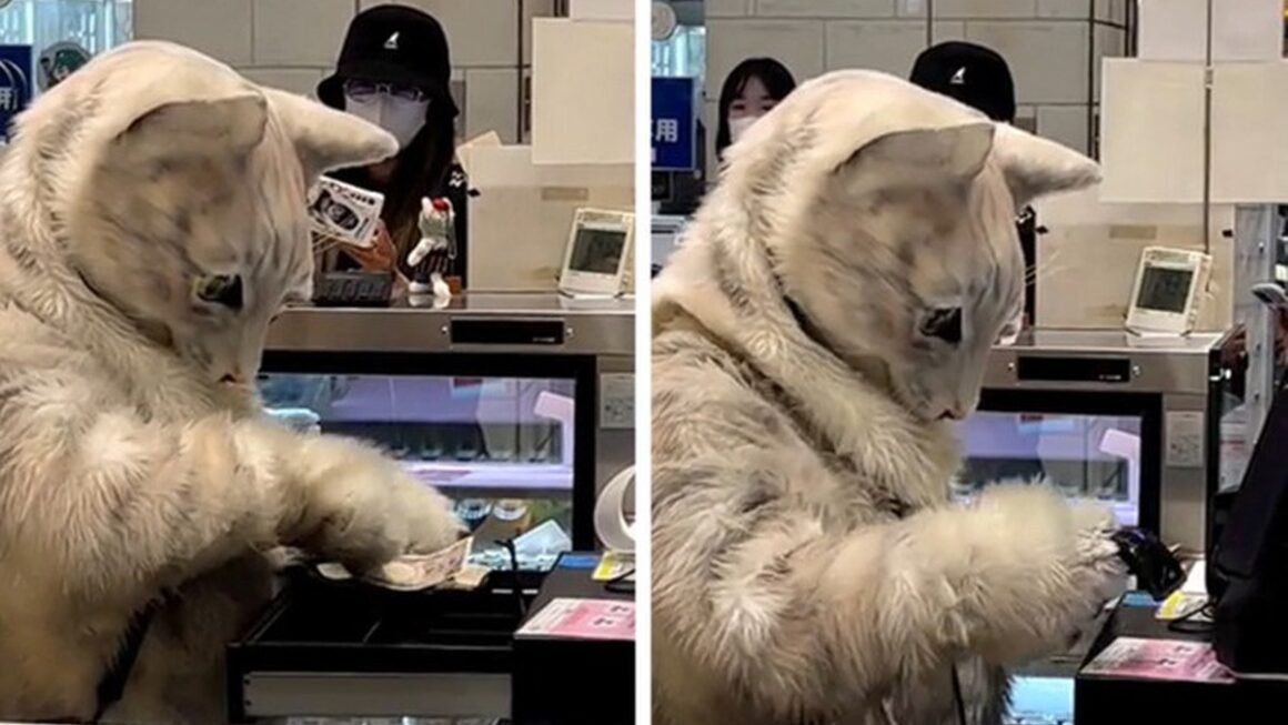 NHẬT BẢN KHÁC HƯỚNG, NHÓM NHẠO ĐẾN TỪ HAI HÀNG TÁM CHIẾC ĐẾN TỪ HÀNH TINH KHÁC!