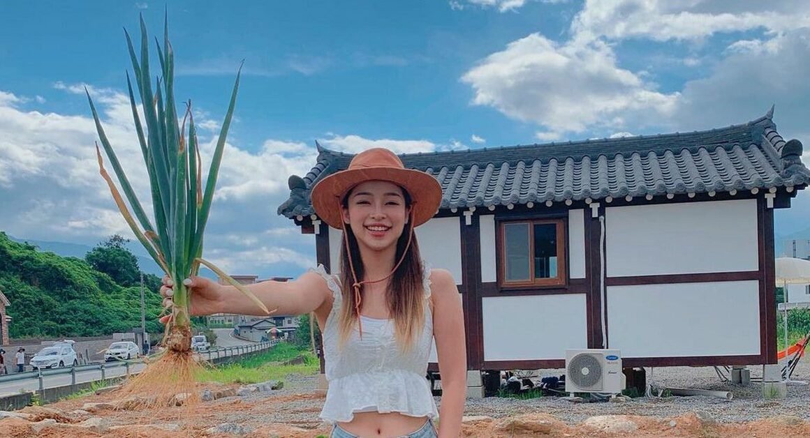 KHÁM PHÁ BÙA HOA HÀNG NGÀY CÓ THỂ CHỐNG UNG THƯ VÀ BỆNH TẬT!