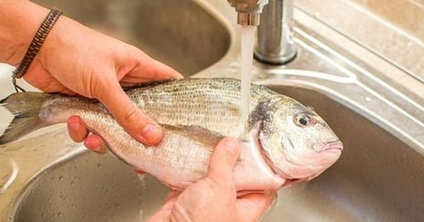 KHỬ MÙI TANH CHỈ CẦN XỬ LÝ CHÍNH XÁC CHO ĐÚNG CHẤT, ĐỪNG CHẤT CHỒNG NƯỚC!