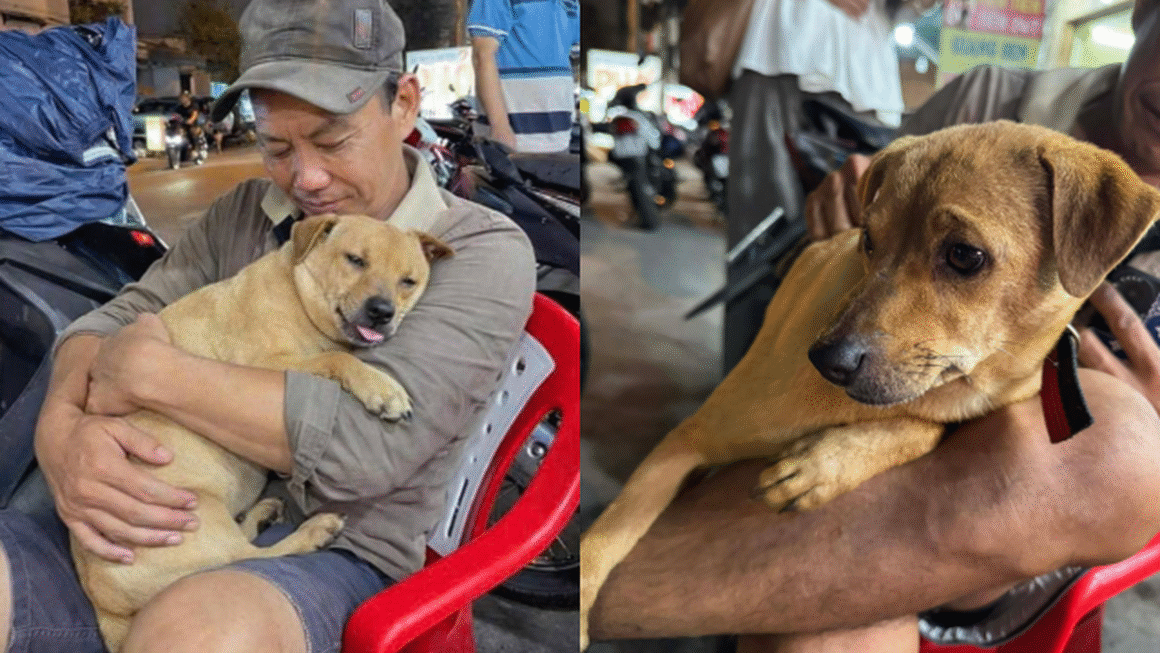 CHUYỆN HÀNH TRÌNH KINH KHỦNG TỪ LONG AN ĐẾN TP.HCM ĐỂ TÌM CHÓ CÚN BỊ LẠC VÌ SỢ PHÁO!