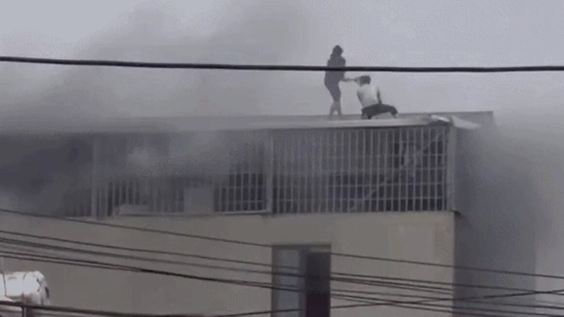 AI ĐÓ ĐÃ ĐÁNH ĐỔ BỎ RÈM CỬA KHÔNG NGỜ, GIÚP GIẢI CỨU NHIỀU NGƯỜI BỊ KẸT KHÓ KHĂN TRONG NGÕ CỤT!