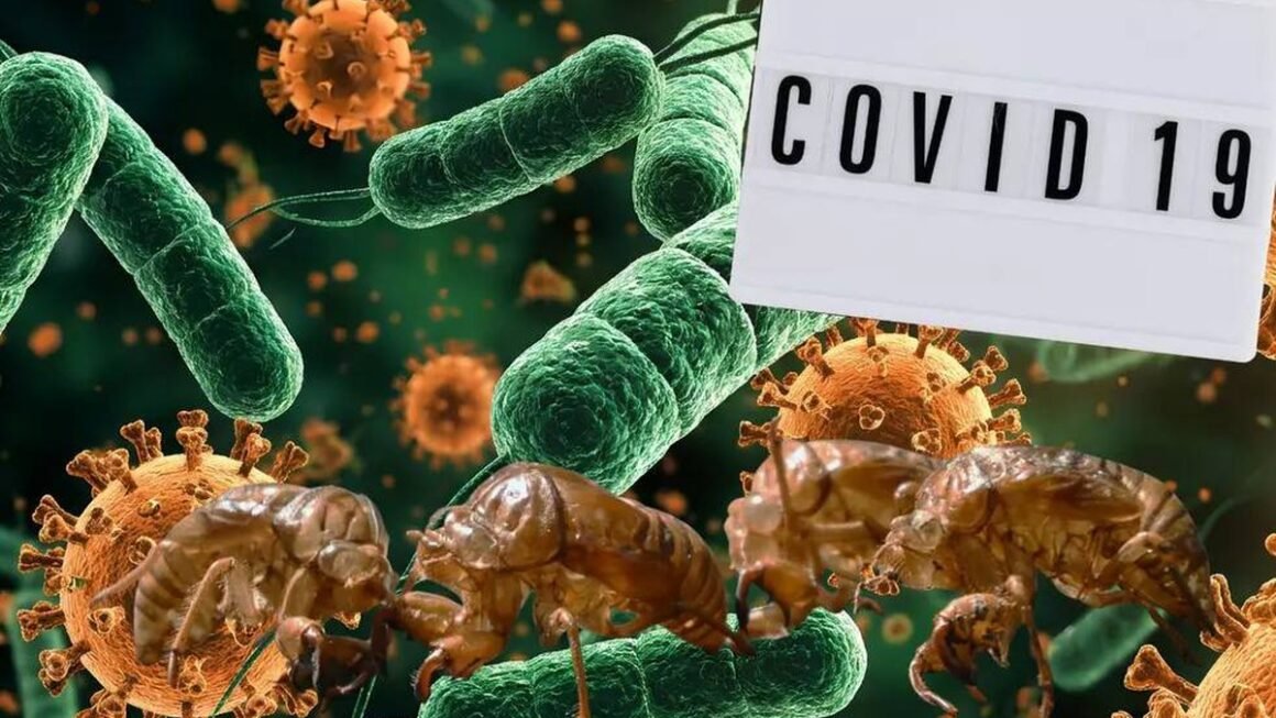 MỘT BIẾN THỂ COVID-19 MỚI VỚI HÀNG CHỤC ĐỘT BIẾN ĐANG NẨY NHIỄU, GÂY NGHI NGỜ VỀ MỨC ĐỘ NGHIỀN NẮNG CỦA ĐẠI DỊCH.