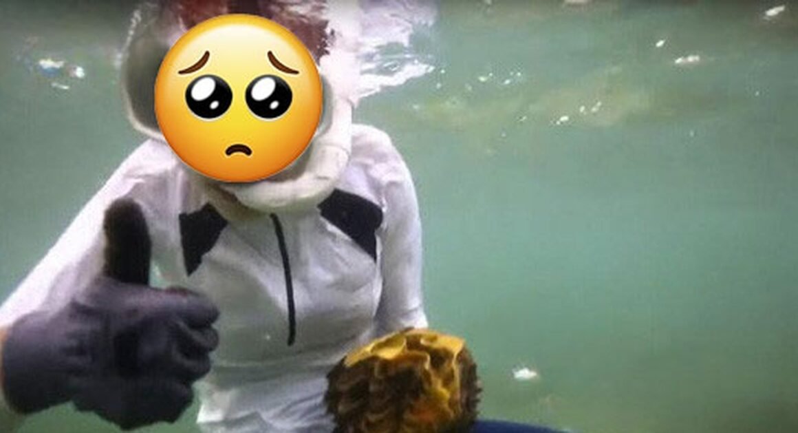 CHỈ VÀI PHÚT TRÊN MÀN ẢNH, MẠO HIỂM ĐỂ MẠO HIỂM CẢ SỰ NGHIỆP!